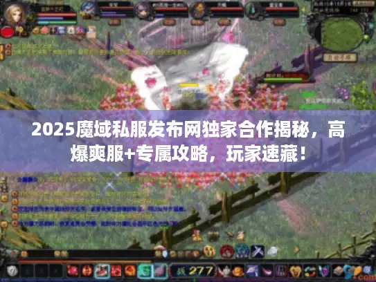2025魔域私服发布网独家合作揭秘，高爆爽服+专属攻略，玩家速藏！