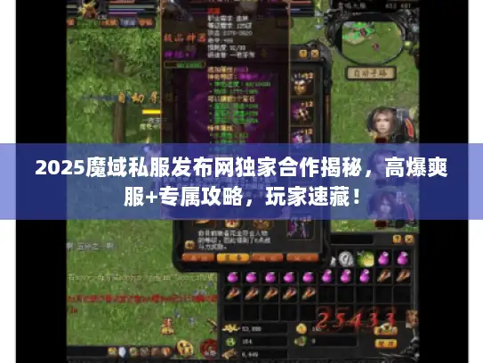 2025魔域私服发布网独家合作揭秘，高爆爽服+专属攻略，玩家速藏！