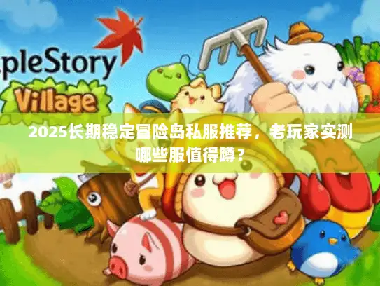 2025长期稳定冒险岛私服推荐，老玩家实测哪些服值得蹲？