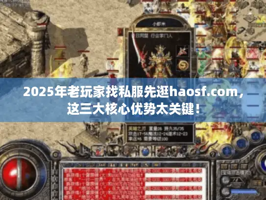 2025年老玩家找私服先逛haosf.com，这三大核心优势太关键！