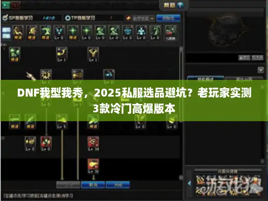 DNF我型我秀，2025私服选品避坑？老玩家实测3款冷门高爆版本