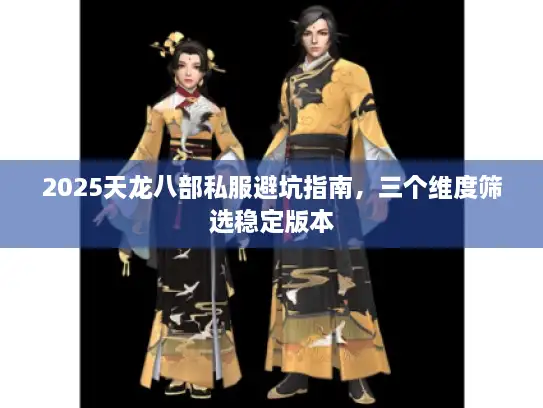 2025天龙八部私服避坑指南，三个维度筛选稳定版本