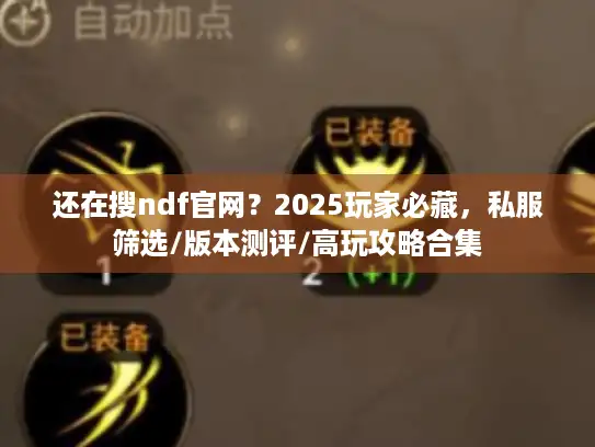 还在搜ndf官网？2025玩家必藏，私服筛选/版本测评/高玩攻略合集