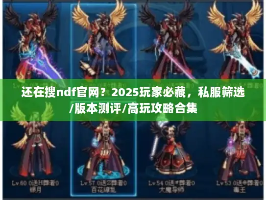 还在搜ndf官网？2025玩家必藏，私服筛选/版本测评/高玩攻略合集