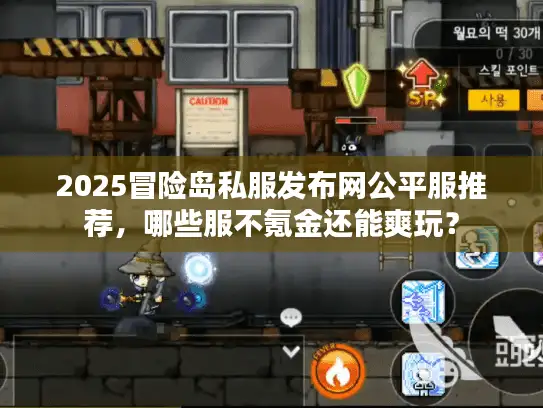 2025冒险岛私服发布网公平服推荐，哪些服不氪金还能爽玩？