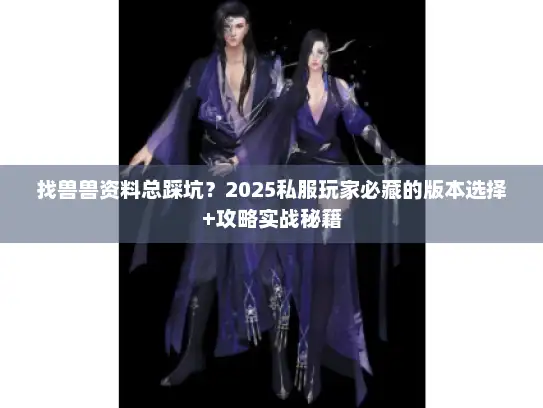 找兽兽资料总踩坑？2025私服玩家必藏的版本选择+攻略实战秘籍