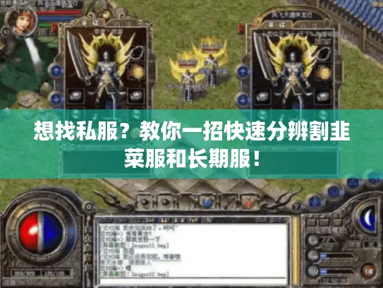 想找私服？教你一招快速分辨割韭菜服和长期服！
