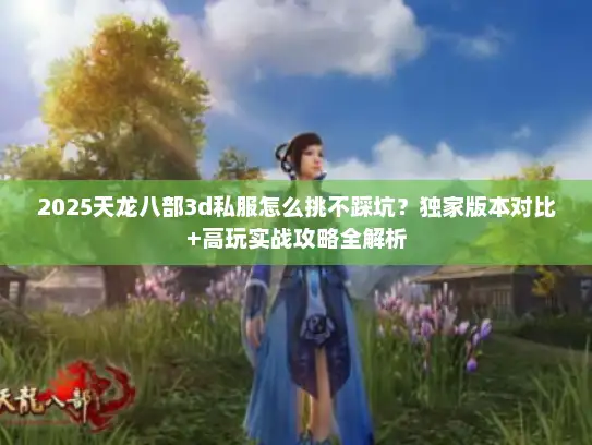2025天龙八部3d私服怎么挑不踩坑？独家版本对比+高玩实战攻略全解析