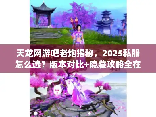 天龙网游吧老炮揭秘，2025私服怎么选？版本对比+隐藏攻略全在这！