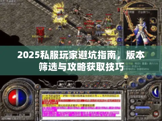 2025私服玩家避坑指南，版本筛选与攻略获取技巧