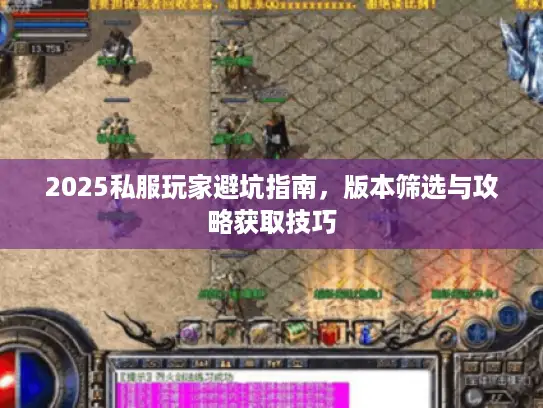 2025私服玩家避坑指南，版本筛选与攻略获取技巧