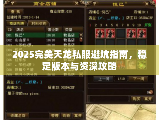 2025完美天龙私服避坑指南，稳定版本与资深攻略