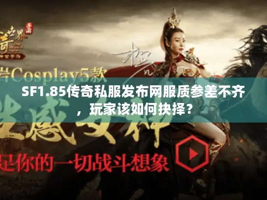 SF1.85传奇私服发布网服质参差不齐，玩家该如何抉择？