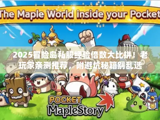 2025冒险岛私服经验倍数大比拼！老玩家亲测推荐，附避坑秘籍别乱选