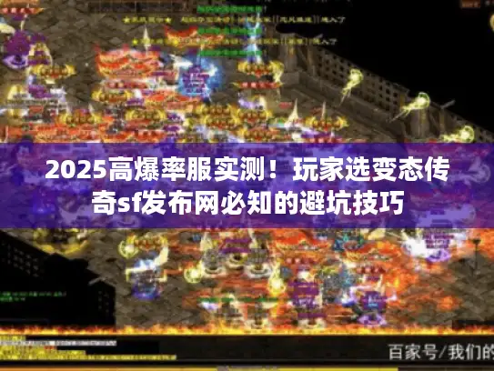 2025高爆率服实测！玩家选变态传奇sf发布网必知的避坑技巧