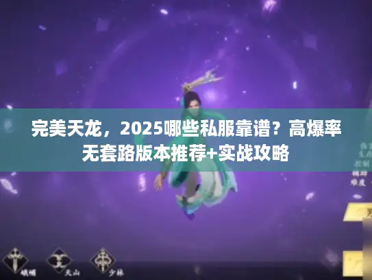完美天龙，2025哪些私服靠谱？高爆率无套路版本推荐+实战攻略