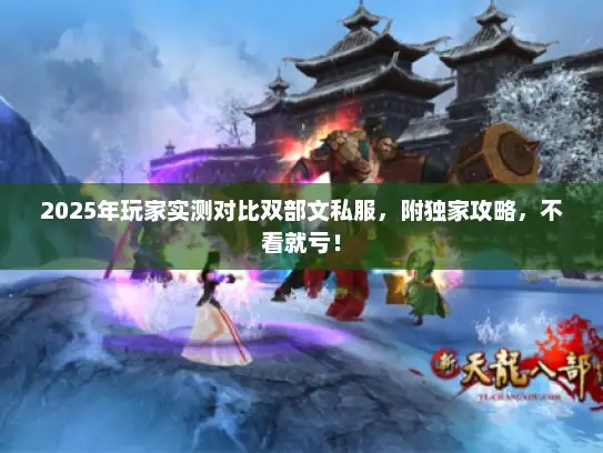 2025年玩家实测对比双部文私服，附独家攻略，不看就亏！