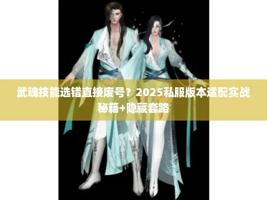 武魂技能选错直接废号？2025私服版本适配实战秘籍+隐藏套路