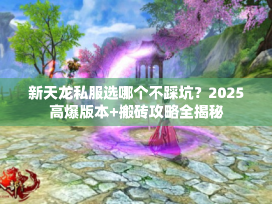 新天龙私服选哪个不踩坑？2025高爆版本+搬砖攻略全揭秘