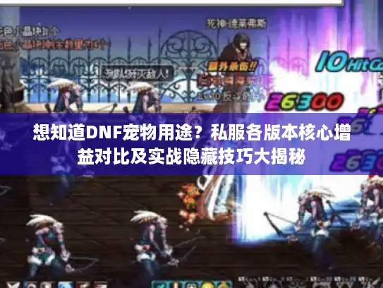 想知道DNF宠物用途？私服各版本核心增益对比及实战隐藏技巧大揭秘