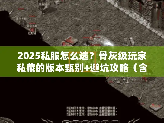 2025私服怎么选？骨灰级玩家私藏的版本甄别+避坑攻略（含实测案例）