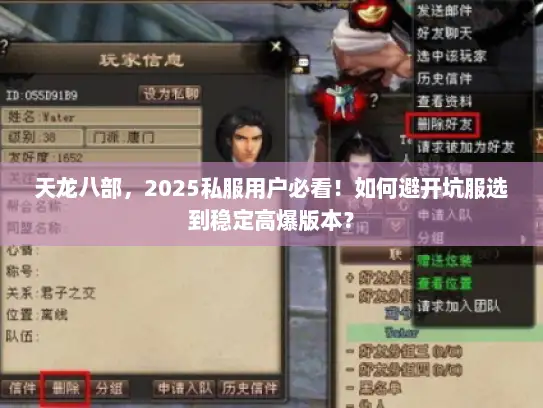 天龙八部，2025私服用户必看！如何避开坑服选到稳定高爆版本？