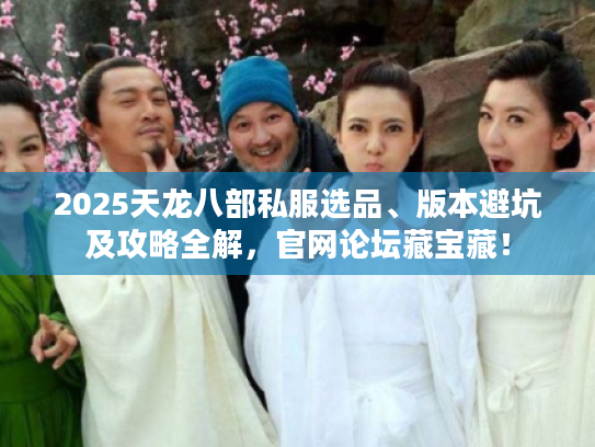 2025天龙八部私服选品、版本避坑及攻略全解，官网论坛藏宝藏！