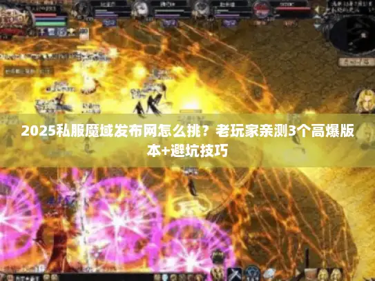 2025私服魔域发布网怎么挑？老玩家亲测3个高爆版本+避坑技巧
