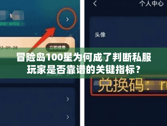 冒险岛100星为何成了判断私服玩家是否靠谱的关键指标？