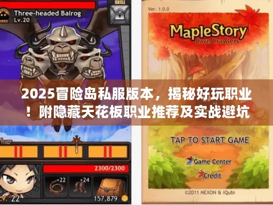 2025冒险岛私服版本，揭秘好玩职业！附隐藏天花板职业推荐及实战避坑攻略