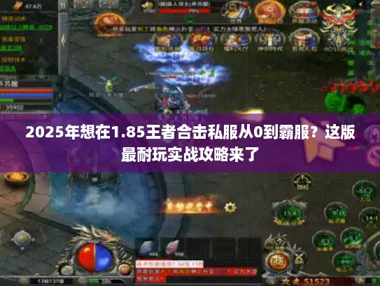 2025年想在1.85王者合击私服从0到霸服？这版最耐玩实战攻略来了