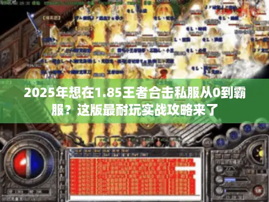 2025年想在1.85王者合击私服从0到霸服？这版最耐玩实战攻略来了