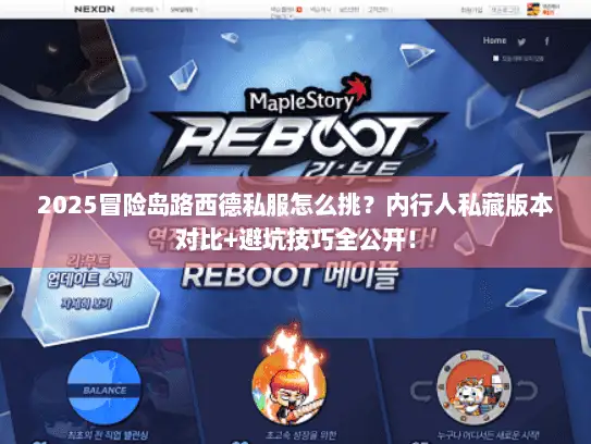 2025冒险岛路西德私服怎么挑？内行人私藏版本对比+避坑技巧全公开！