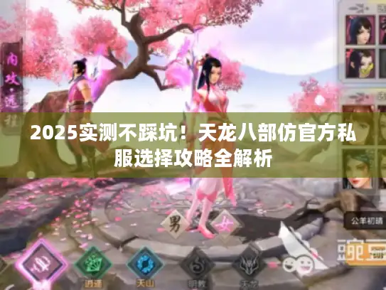 2025实测不踩坑！天龙八部仿官方私服选择攻略全解析