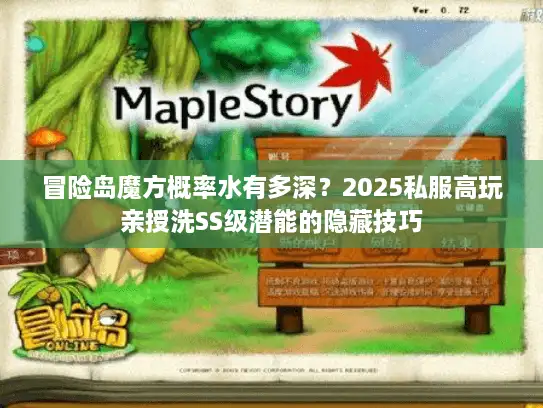 冒险岛魔方概率水有多深？2025私服高玩亲授洗SS级潜能的隐藏技巧