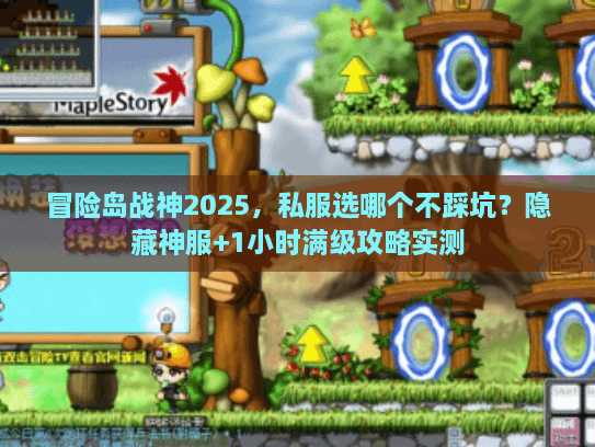 冒险岛战神2025，私服选哪个不踩坑？隐藏神服+1小时满级攻略实测