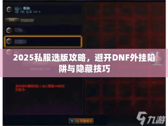 2025私服选版攻略，避开DNF外挂陷阱与隐藏技巧