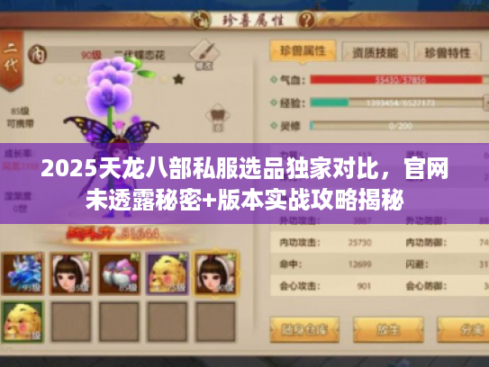 2025天龙八部私服选品独家对比，官网未透露秘密+版本实战攻略揭秘
