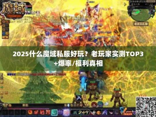 2025什么魔域私服好玩？老玩家实测TOP3+爆率/福利真相