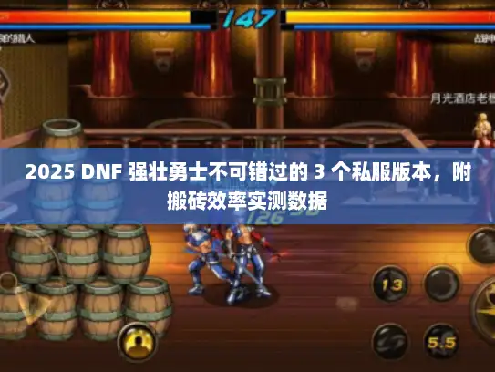 2025 DNF 强壮勇士不可错过的 3 个私服版本，附搬砖效率实测数据