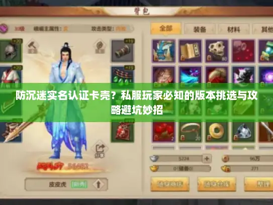 防沉迷实名认证卡壳？私服玩家必知的版本挑选与攻略避坑妙招