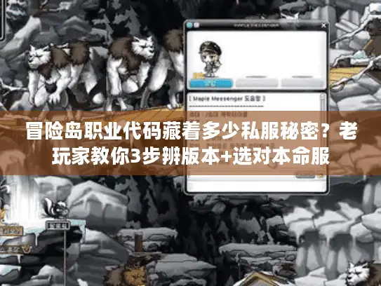 冒险岛职业代码藏着多少私服秘密？老玩家教你3步辨版本+选对本命服