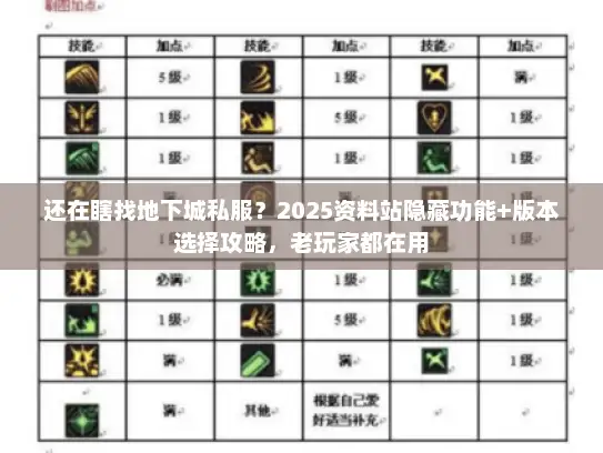 还在瞎找地下城私服？2025资料站隐藏功能+版本选择攻略，老玩家都在用