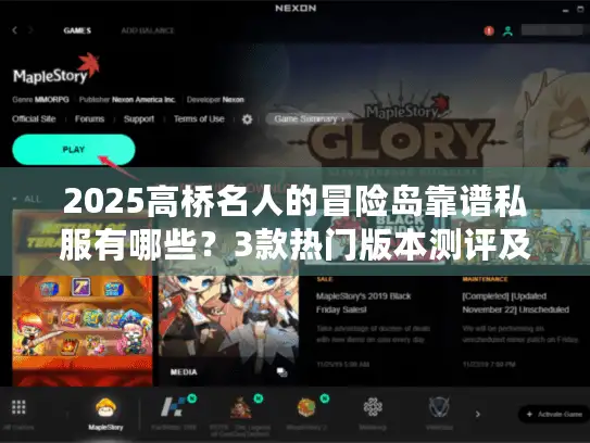 2025高桥名人的冒险岛靠谱私服有哪些？3款热门版本测评及隐藏攻略揭秘