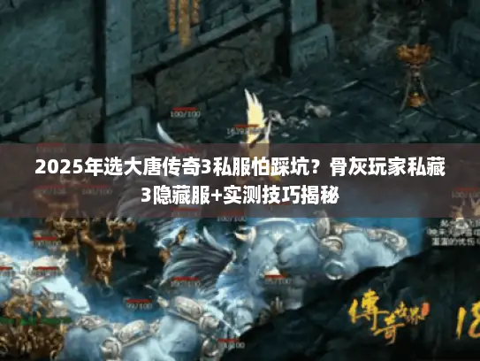 2025年选大唐传奇3私服怕踩坑?骨灰玩家私藏3隐藏服+实测技巧揭秘 2025年选大唐传奇3私服怕踩坑?骨灰玩家私藏3隐藏服+实测技巧揭秘
