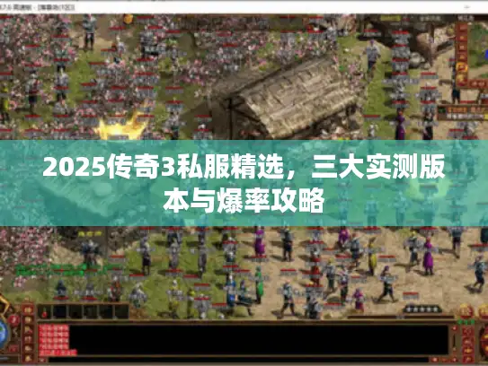 2025传奇3私服精选,三大实测版本与爆率攻略 2025传奇3私服精选,三大实测版本与爆率攻略