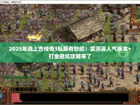 2025年选上古传奇3私服有妙招！实测高人气版本+打金避坑攻略来了