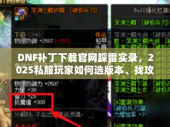 DNF补丁下载官网踩雷实录，2025私服玩家如何选版本、找攻略不翻车？