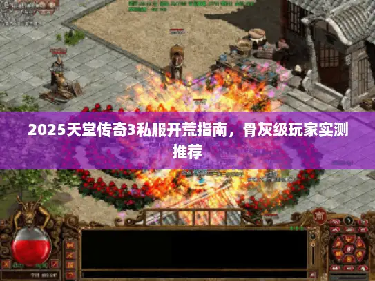 2025天堂传奇3私服开荒指南，骨灰级玩家实测推荐