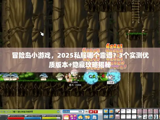 冒险岛小游戏，2025私服哪个靠谱？3个实测优质版本+隐藏攻略揭秘